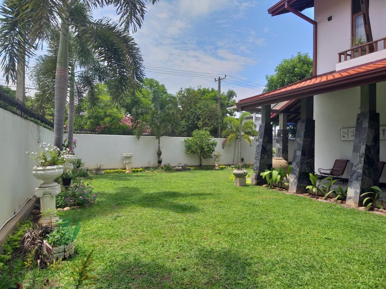 Cosy Nest Home Stay Негомбо Экстерьер фото